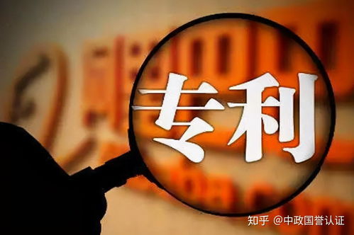 政府采購風險項 限定或指定專利 品牌商標或供應商作為加分條件