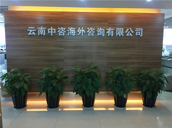云南中咨海外 以標準化服務驅動發展，引領政府采購代理新標桿